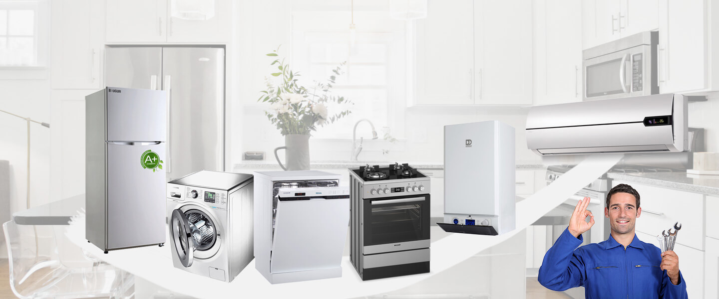 Dinar Dominox Servisi